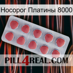 Носорог Платины 8000 18